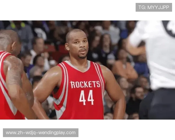 火箭队球员海耶斯的表现和影响如何