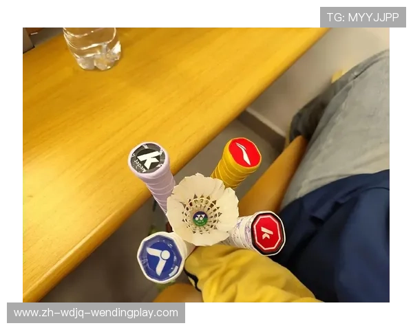 自制羽毛球递球器