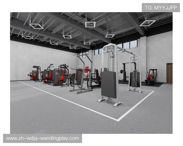 健身器材改进方案建议及用户反馈问题汇总